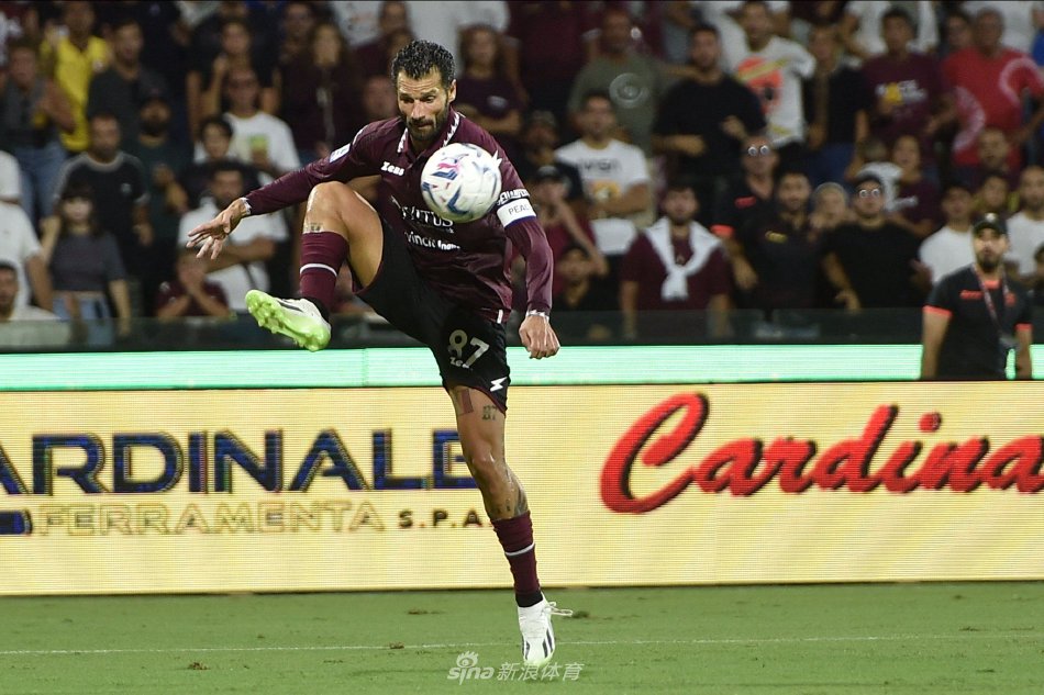 你补充这一 你补充这一